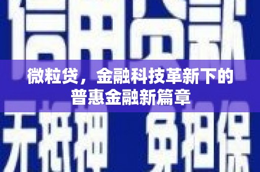 池上微粒贷，金融科技革新下的普惠金融新篇章