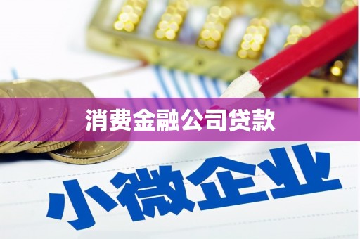 池上消费金融公司贷款