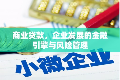 池上商业贷款，企业发展的金融引擎与风险管理