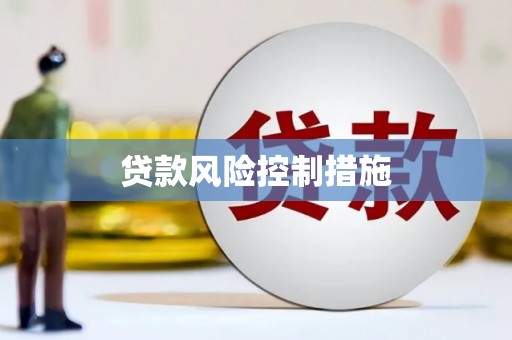 池上贷款风险控制措施