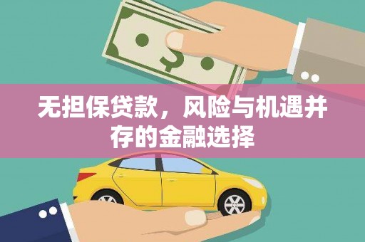池上无担保贷款，风险与机遇并存的金融选择
