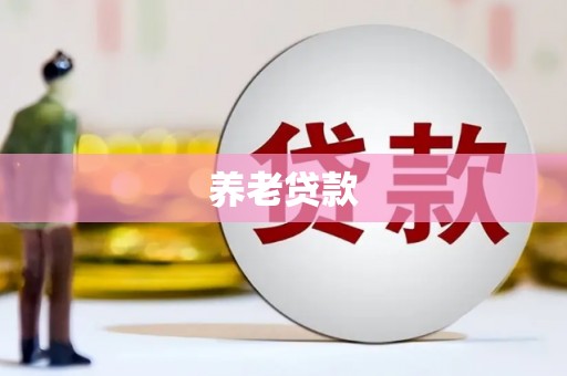 池上养老贷款