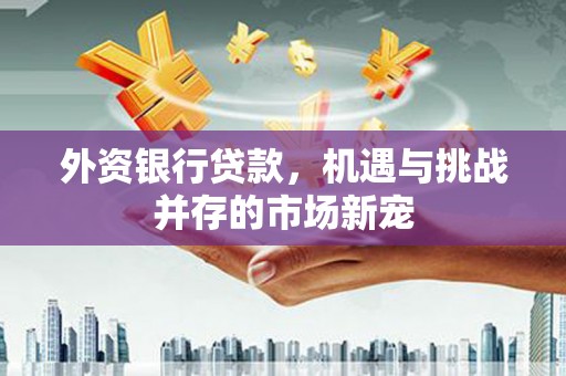 池上外资银行贷款，机遇与挑战并存的市场新宠