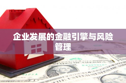 池上企业发展的金融引擎与风险管理
