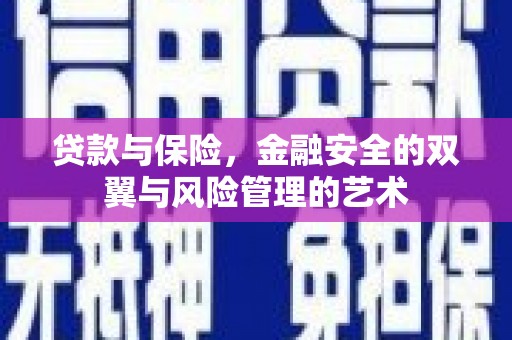 池上贷款与保险，金融安全的双翼与风险管理的艺术