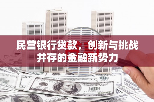 池上民营银行贷款，创新与挑战并存的金融新势力