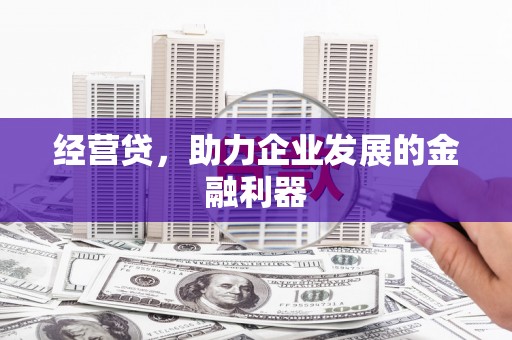 池上经营贷，助力企业发展的金融利器