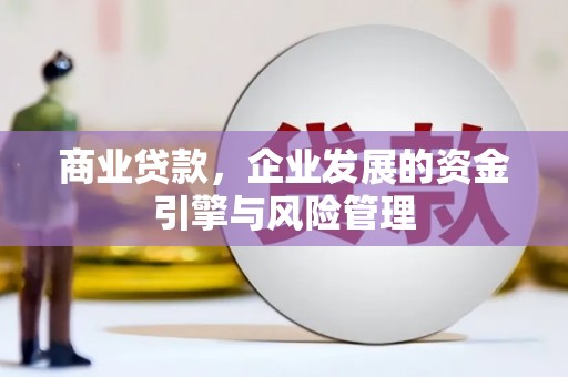 池上商业贷款，企业发展的资金引擎与风险管理