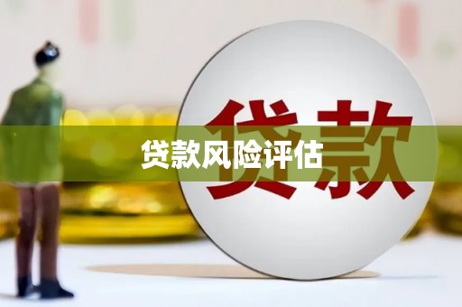 池上贷款风险评估