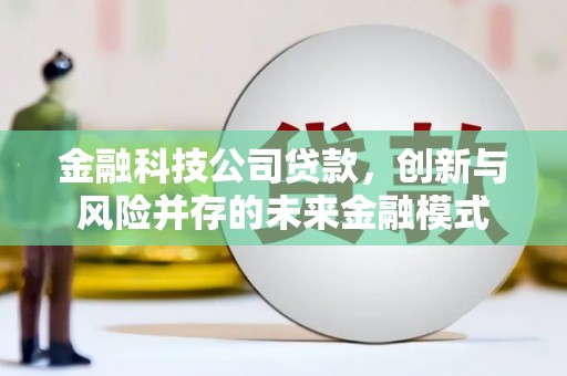 池上金融科技公司贷款，创新与风险并存的未来金融模式