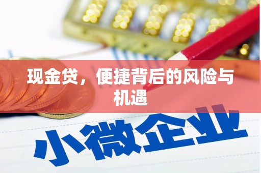 池上现金贷，便捷背后的风险与机遇