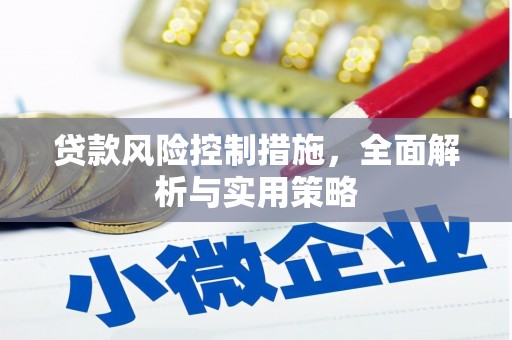 池上贷款风险控制措施，全面解析与实用策略
