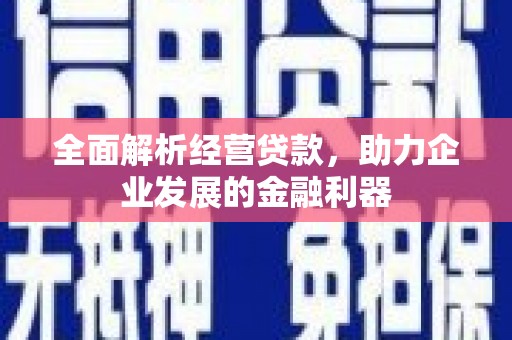 池上全面解析经营贷款，助力企业发展的金融利器
