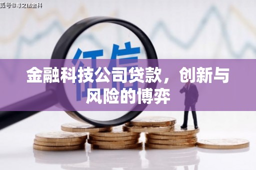 池上金融科技公司贷款，创新与风险的博弈