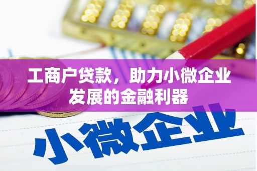 池上工商户贷款，助力小微企业发展的金融利器