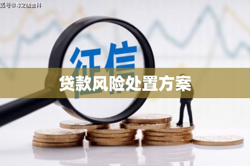 池上贷款风险处置方案