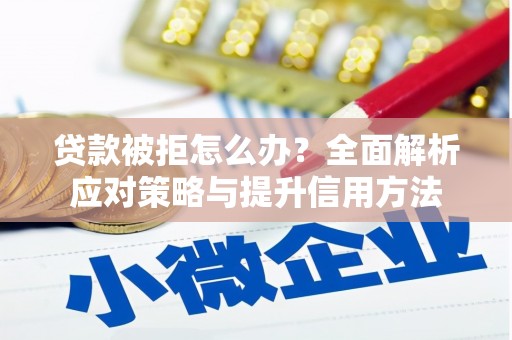 池上贷款被拒怎么办？全面解析应对策略与提升信用方法