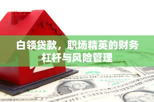 池上白领贷款，职场精英的财务杠杆与风险管理