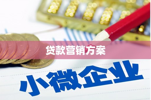 池上贷款营销方案