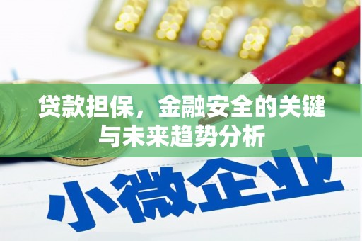 池上贷款担保，金融安全的关键与未来趋势分析