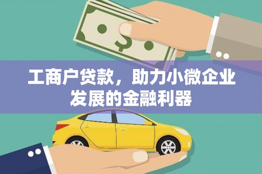 池上工商户贷款，助力小微企业发展的金融利器