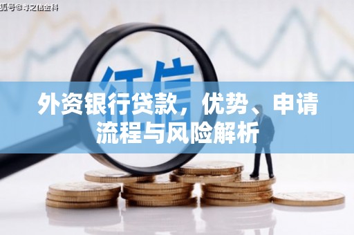 池上外资银行贷款，优势、申请流程与风险解析