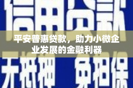 池上平安普惠贷款，助力小微企业发展的金融利器