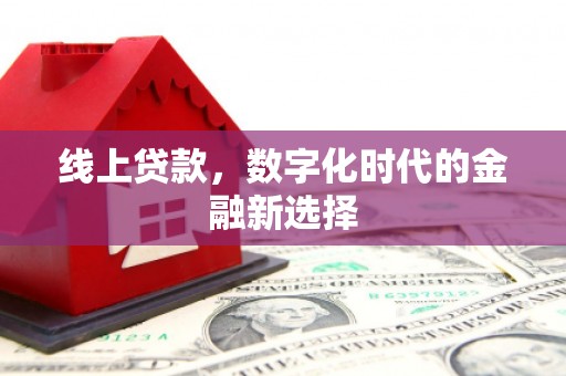 池上线上贷款，数字化时代的金融新选择
