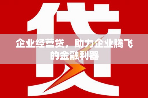 池上企业经营贷，助力企业腾飞的金融利器