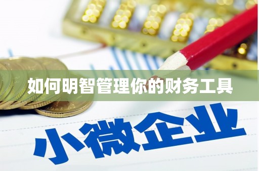 池上如何明智管理你的财务工具