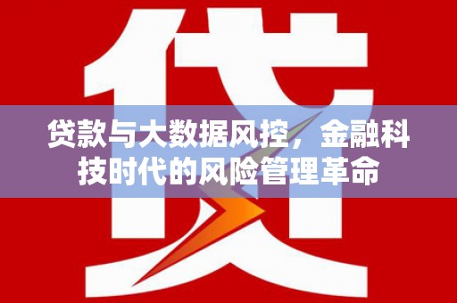 池上贷款与大数据风控，金融科技时代的风险管理革命
