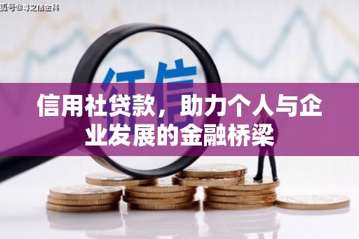 池上信用社贷款，助力个人与企业发展的金融桥梁