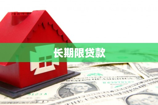 池上长期限贷款