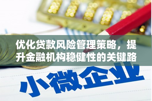 池上优化贷款风险管理策略，提升金融机构稳健性的关键路径