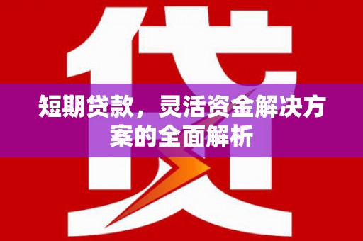 池上短期贷款，灵活资金解决方案的全面解析