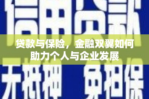 池上贷款与保险，金融双翼如何助力个人与企业发展