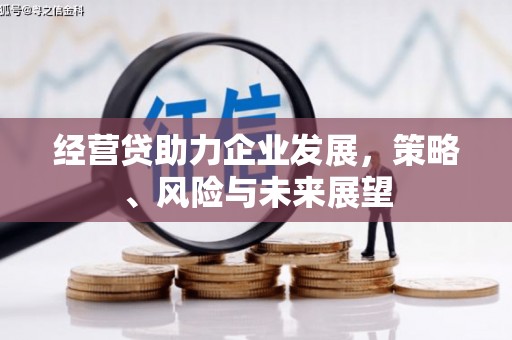 池上经营贷助力企业发展，策略、风险与未来展望