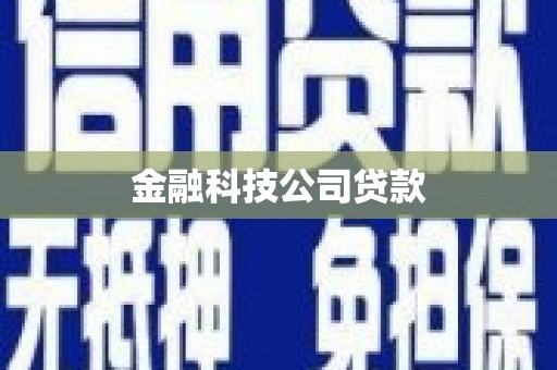 池上金融科技公司贷款