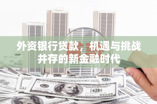 池上外资银行贷款，机遇与挑战并存的新金融时代