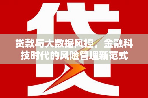 池上贷款与大数据风控，金融科技时代的风险管理新范式
