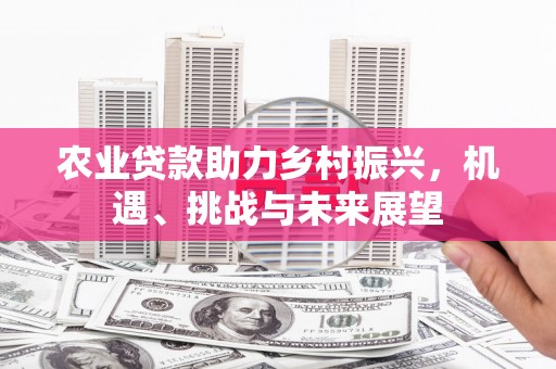 池上农业贷款助力乡村振兴，机遇、挑战与未来展望