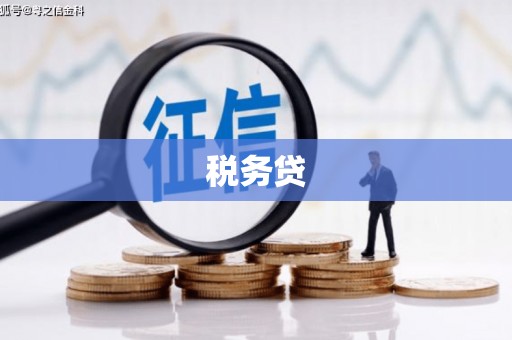 池上税务贷