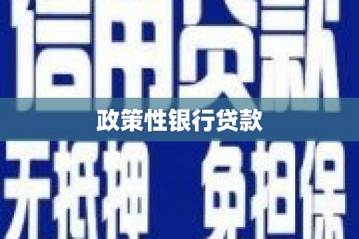 池上政策性银行贷款