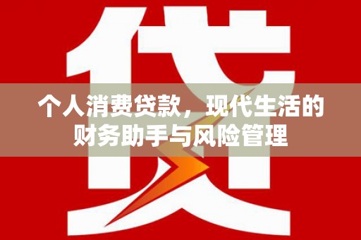 池上个人消费贷款，现代生活的财务助手与风险管理