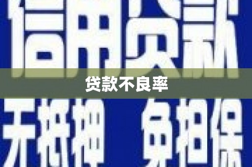 池上贷款不良率