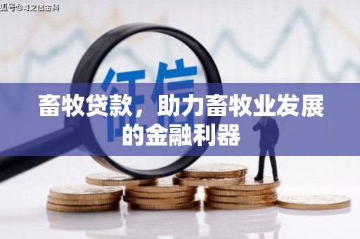 池上畜牧贷款，助力畜牧业发展的金融利器