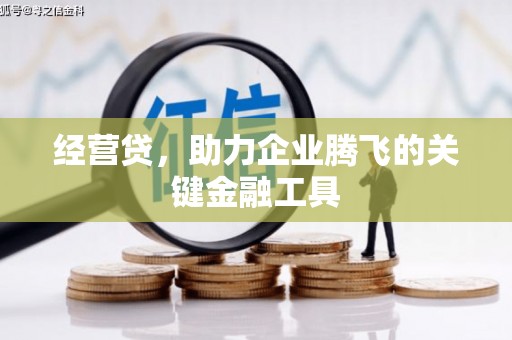 池上经营贷，助力企业腾飞的关键金融工具