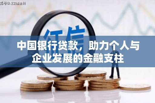 池上中国银行贷款，助力个人与企业发展的金融支柱