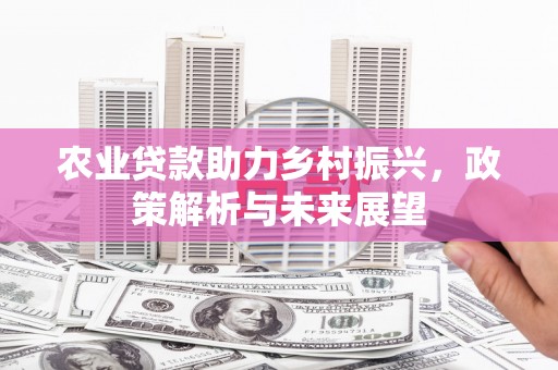 池上农业贷款助力乡村振兴，政策解析与未来展望