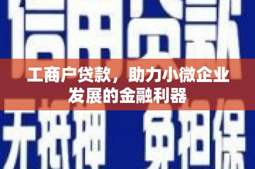 池上工商户贷款，助力小微企业发展的金融利器